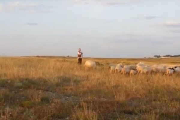 San Michele e i tratturi 